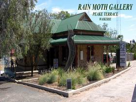 Rain Moth Gallery - Accommodation Directory 0