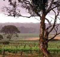 Yangarra Estate Vineyard - Accommodation Directory