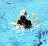 Mount Gambier Aquatic Centre - Accommodation Directory