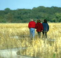 Onkaparinga River Recreation Park - Accommodation Directory