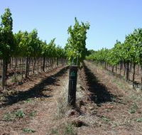 Temple Bruer Winery - Accommodation Directory