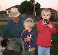 Orrie Cowie Merino and Poll Merino Stud - Accommodation Directory