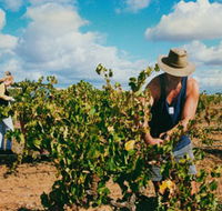 Torbreck Vintners - Accommodation Directory