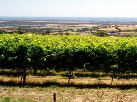 Braydun Hill Vineyard - Accommodation Directory 0