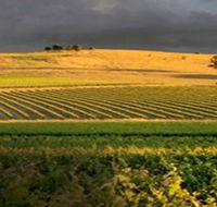 Kellermeister Wines - Accommodation Directory