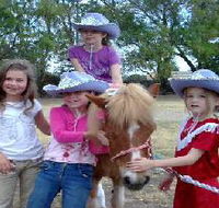 Amberainbow Pony Rides - Accommodation Directory