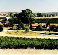 Irvine Wines - Accommodation Directory