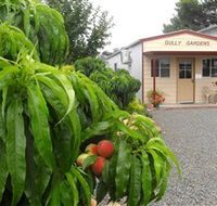 Gully Gardens - Accommodation Directory