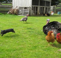 Echo Farm - Accommodation Directory