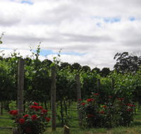 Manyara Vineyard - Accommodation Directory