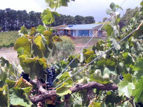 Zimmermann Wine - Accommodation Directory 0