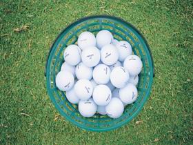 Murray Bridge Golf Club - Accommodation Directory 0