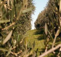 Evilo Estate - Accommodation Directory