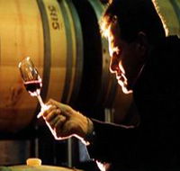 Salena Estate Wines - Accommodation Directory