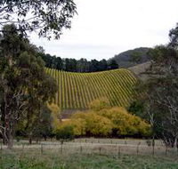 Mt Bera Vineyards - Accommodation Directory