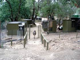 Humbug Scrub Wildlife Sanctuary - Accommodation Directory 0