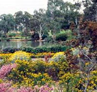 Wittunga Botanic Garden - Accommodation Directory