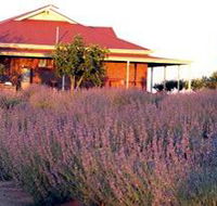 Bella Lavender Estate - Accommodation Directory