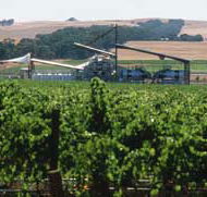 Kirrihill Wines - Accommodation Directory