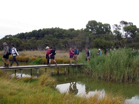 Lavender Federation Trail - Accommodation Directory 1