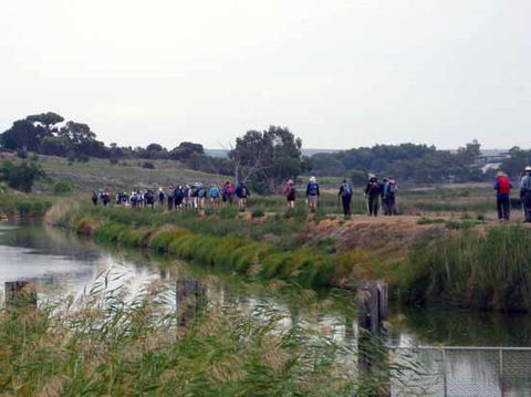 Lavender Federation Trail - Accommodation Directory 2