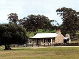 Fernfield Wines - Accommodation Directory 0
