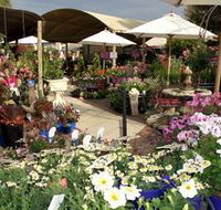 Serenity Nursery - Accommodation Directory