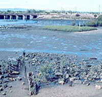 Jervois Basin Ships' Graveyard - Accommodation Directory