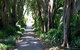 Adelaide Botanic Garden - thumb 0