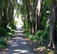 Adelaide Botanic Garden - Accommodation Directory