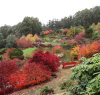 Emu Valley Rhododendron Garden - Accommodation Directory