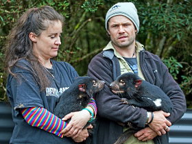 Devils@cradle - Accommodation Directory 0