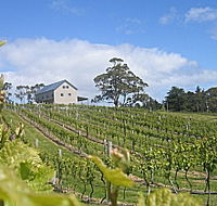Bruny Island Premium Wines Bar and Grill - Accommodation Directory