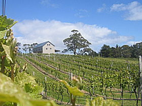 Bruny Island Premium Wines Bar And Grill - Accommodation Directory 0