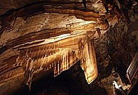 Gunns Plains Cave - Accommodation Directory 0
