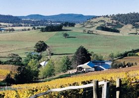 Freycinet Vineyards Pty Ltd - Accommodation Directory 0
