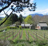 Wilmot Hills Vineyard - Accommodation Directory