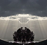 aart. Gallery of Fine Art - Accommodation Directory