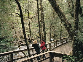 Franklin River Nature Trail - Accommodation Directory 0