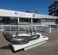 Australia's Antarctic Headquarters - Accommodation Directory