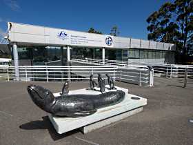 Australia's Antarctic Headquarters - Accommodation Directory 0