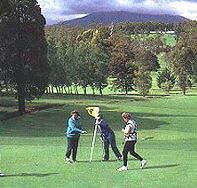 Deloraine Golf Course - Accommodation Directory
