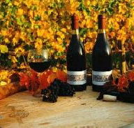 Craigow Vineyard - Accommodation Directory