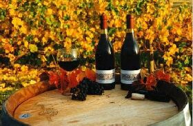 Craigow Vineyard - Accommodation Directory 0