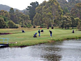 Penguin Golf Course - Accommodation Directory 0