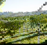 Surveyor's Hill Vineyards - Accommodation Directory
