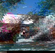 Springvale Homestead - Accommodation Directory