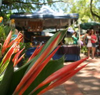 Nightcliff Markets - Accommodation Directory