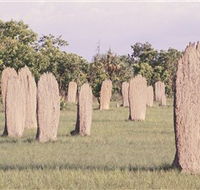 Magnetic Termite Mounds - Accommodation Directory