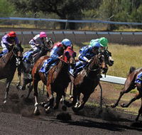 Alice Springs Turf Club - Accommodation Directory